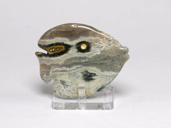 Back of Ocean jasper carved fish, vintage lapidary
