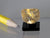Golden rutile in clear quartz, lighted dollhouse specimen