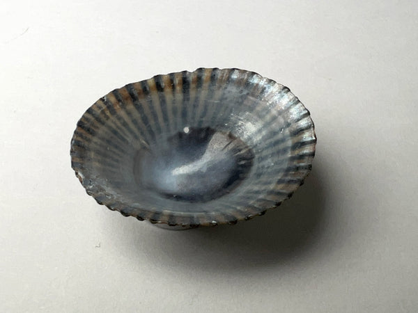 Tiny hole in right hand limpet bowl