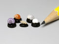 Collection of five tiny shells