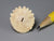 Extinct fossil sand dollar for dollshouse display