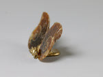 Side view, Matched pair of fossil ammonite halves, tiny
