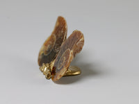 Side view, Matched pair of fossil ammonite halves, tiny
