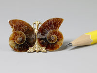 Matched pair of fossil ammonite halves, tiny