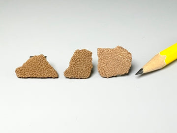 Real dinosaur eggshell fragments, France.  Sold individually