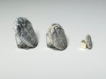 Side view, Three trilobite fossils of different sizes, dollhouse specimens