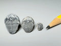 Fossil trilobite, Utah. 1:12 and 1:24.  Sold individually