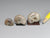 Fossil ammonites from Madagascar for dollhouse display