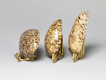 Side view, Polished dinosaur bone specimens, dollhouse decor