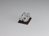 Side view, Fossil barnacle cluster, dollhouse specimen