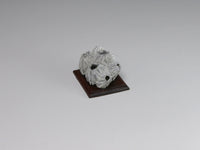 Side view, Fossil barnacle cluster, dollhouse specimen