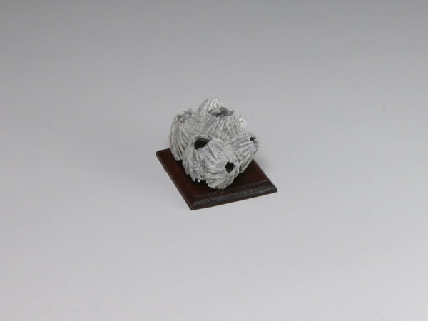 Side view, Fossil barnacle cluster, dollhouse specimen