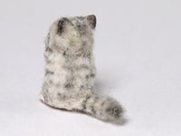 Back, Cute begging cat, dollhouse miniature 1:12 scale