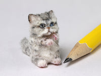 Cute begging cat, dollhouse miniature 1:12 scale