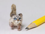 Longhaired cat, 1:12 dollhouse miniature