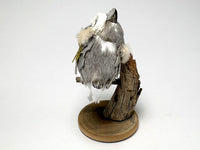 Back, Teresa Dudley moth-eaten taxidermy owl