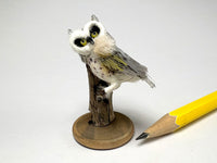 Teresa Dudley moth-eaten taxidermy owl