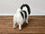 Blindheim Japanese Chin dog, 1:12 scale