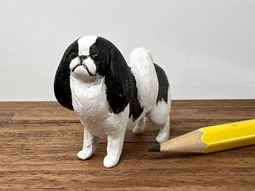 Karl Blindheim Japanese Chin dog