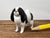 Blindheim Japanese Chin dog, 1:12 scale