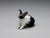Side, Dollhouse miniature black and white rabbit, Alice Zinn