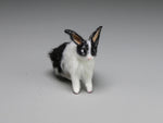Front, Dollhouse miniature black and white rabbit, Alice Zinn