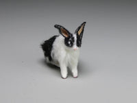 Front, Dollhouse miniature black and white rabbit, Alice Zinn