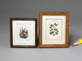 Limited edition etchings by Jane Conneen, IGMA Fellow.  Sold individually