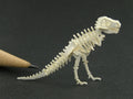 Tyrannosaurus rex skeleton model, old style pose - Currently unavailable