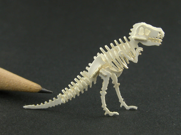 Tyrannosaurus rex skeleton model