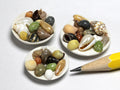 Sea shells in white china dishes