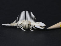 Dimetrodon skeleton fossil, dollhouse