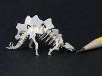 Stegosaurus skeleton model