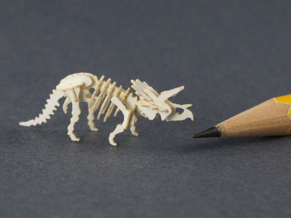 Tiny model triceratops skeleton